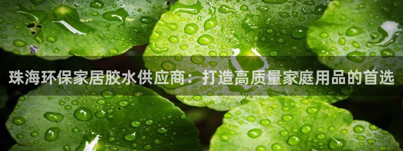 沐鸣2平台代理登录网址查询：珠海环保家居胶水供应商：打造高质