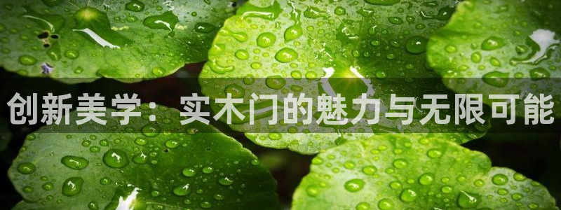 沐鸣2平台代理登录网址：创新美学：实木门的魅力与无限可能