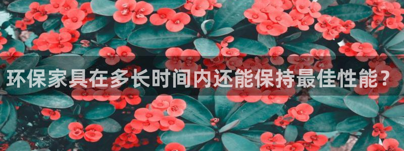 沐鸣2平台几年了：环保家具在多长时间内还能保持最佳性能？